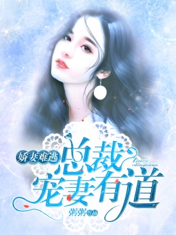 总裁宠妻有道，科技宠爱下的生活翻新之旅