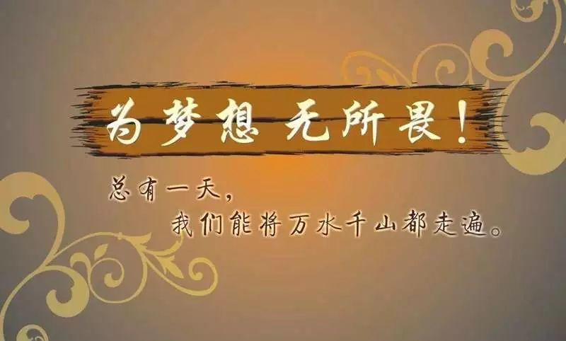 新闻 第955页