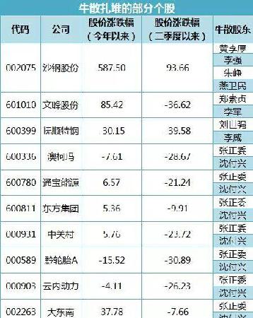 牛散最新持股揭秘，巷弄小店的特色投资宝藏探索