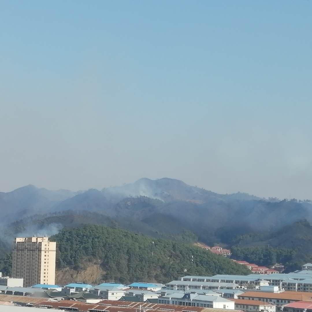 河北废铜价格最新动态更新