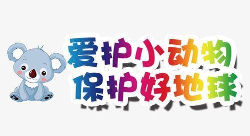 西安最新宠物店转让,西安最新宠物店转让，深度分析与观点阐述