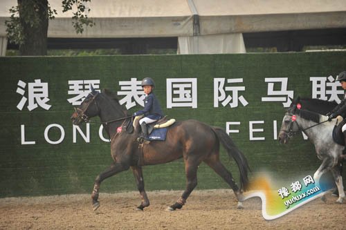 2024今晚澳门开特马四不像,专业问题执行_Executive9.827