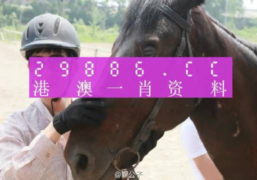 今晚澳门必中一肖一码适囗务目,稳定性操作方案分析_Advance5.452