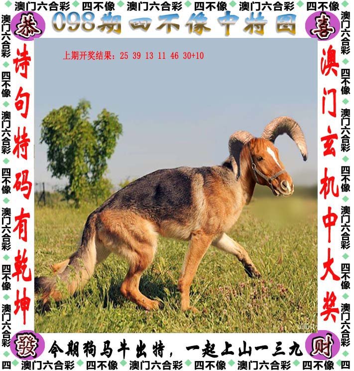 2024今晚最准四不像,实地计划设计验证_HDR版7.487