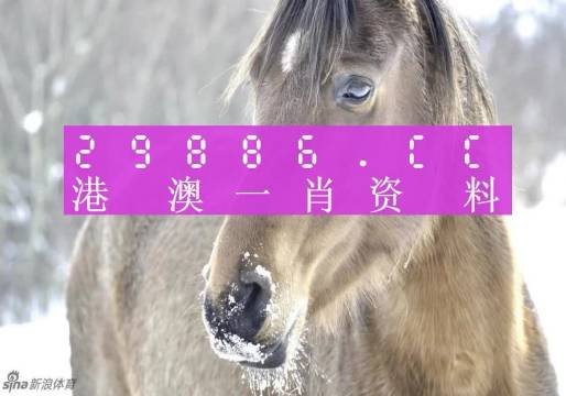澳门一肖一码100‰,深度分析解释定义_MR9.587