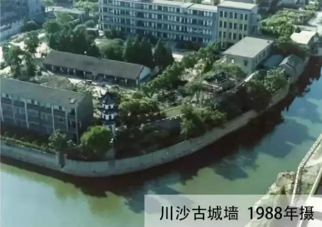 川沙镇最新动态与资讯📣🌆