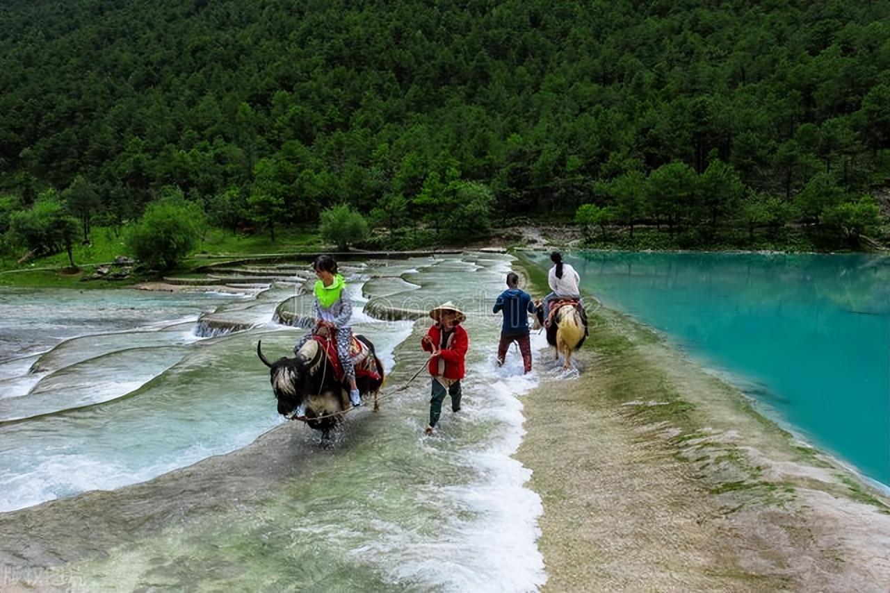 启程，最新网络帖子带你体验心灵与自然的奇妙旅行