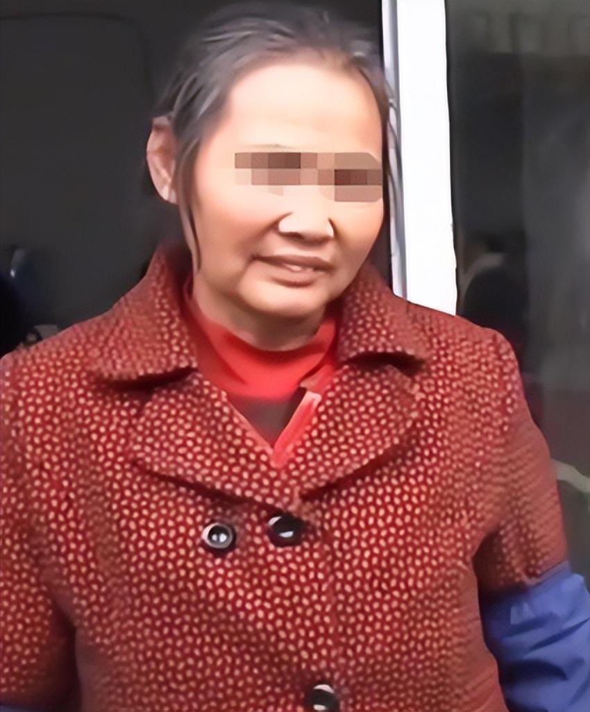 河南方言最新详解，学习与实践的全方位指南