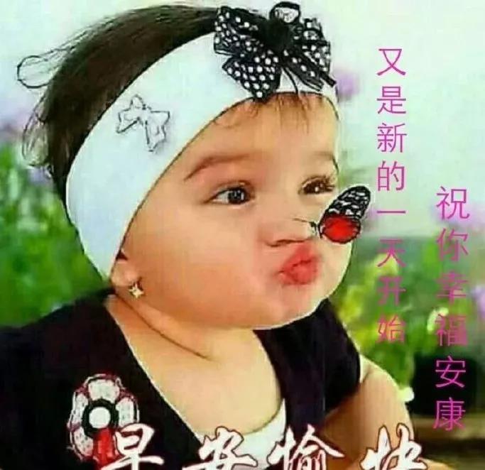 苹果最新款手机揭秘，一场融合友情与技术的温馨之旅