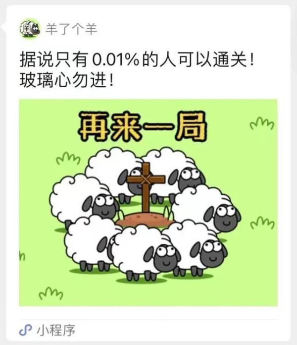 宾果消消消最新版更新，科技与生活的无缝融合新体验