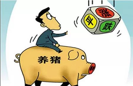 猪肉行情价格探索之旅，寻找内心的平静与平衡