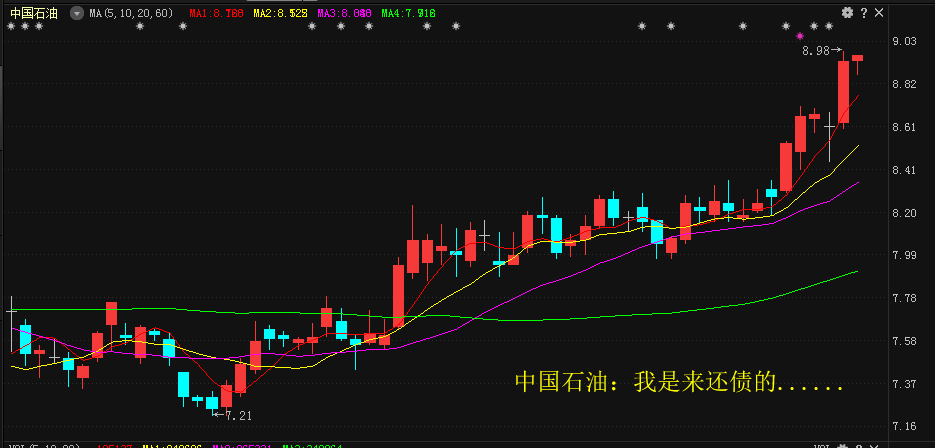 中国石油股票行情解析，小巷深处的石油财富与独特风味探索