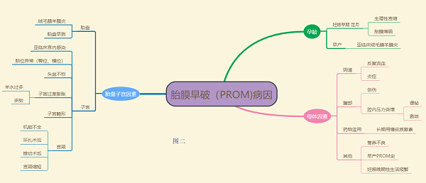 最新绒毛膜羊膜炎临床指南，科技之光照亮母婴健康之路