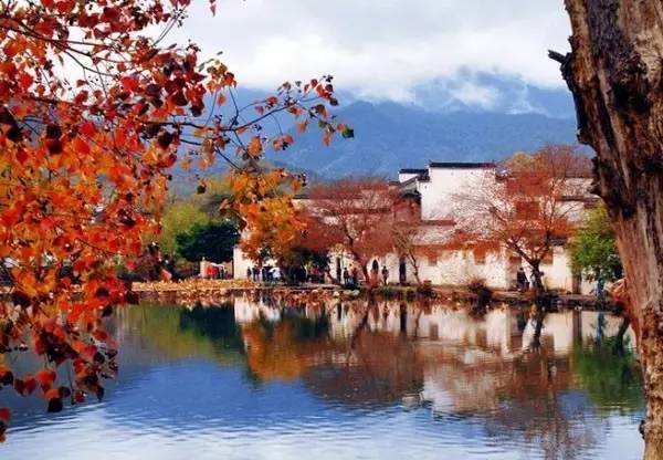 颈康胶囊价格探索，自然美景之旅，追寻内心平静与喜悦的旅程