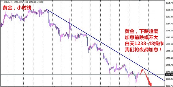 深度解析行情趋势指标，观点阐述与趋势洞察