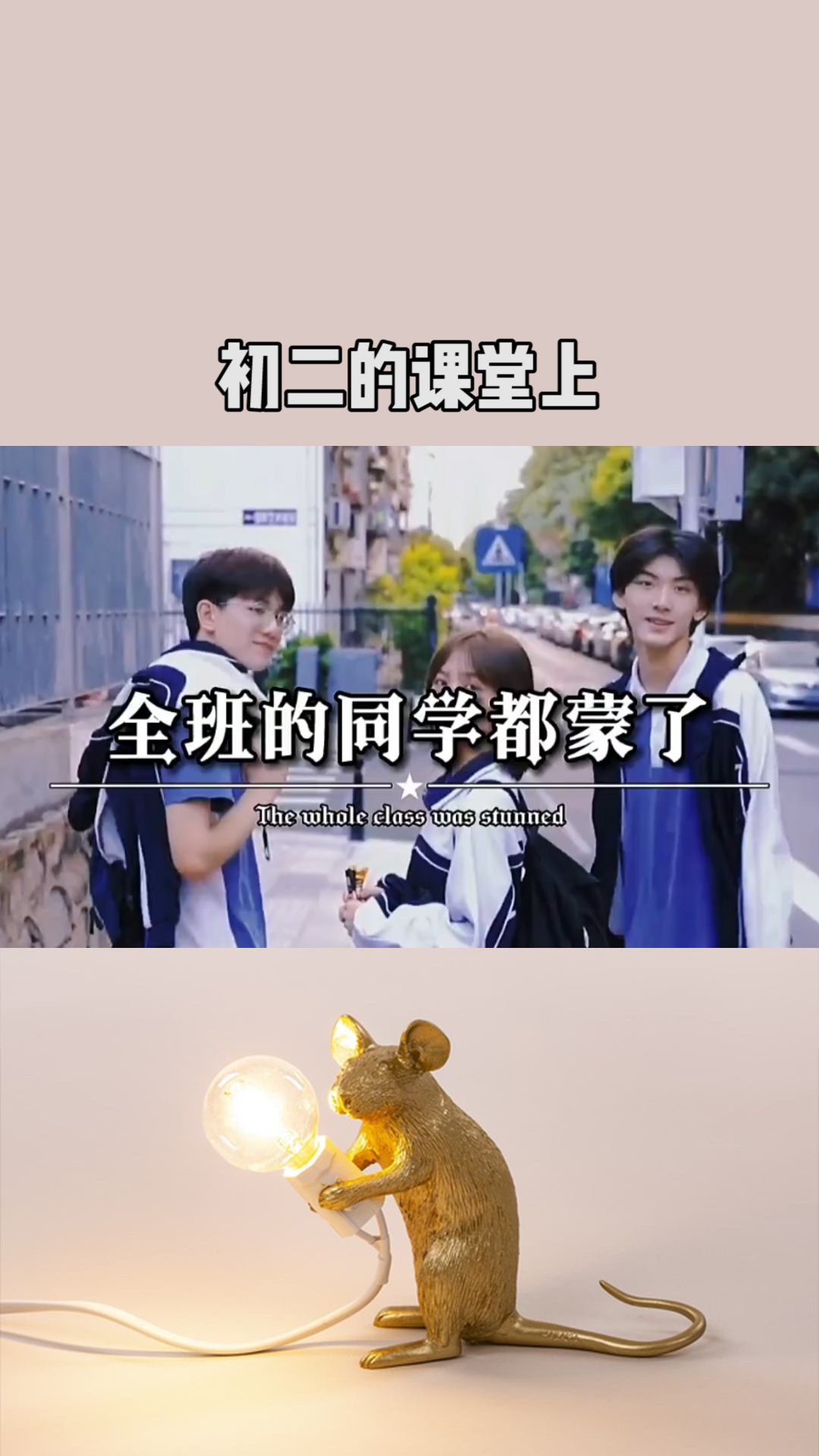 最新同桌女生介绍，自信与成就感的励志之旅启动！