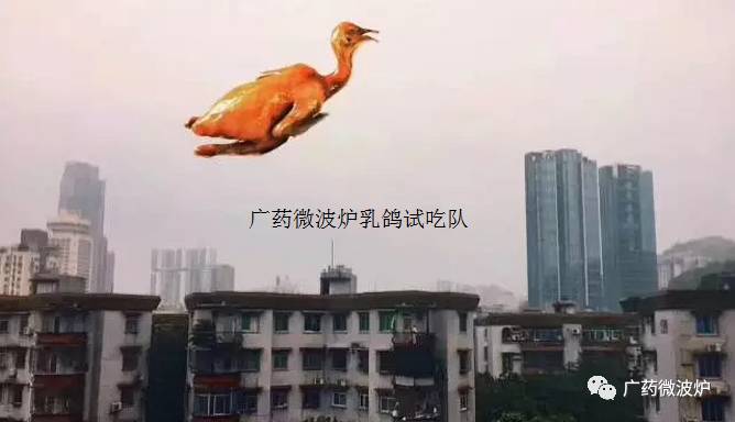 台风天鸽最新动态，科技巨擘助力重塑风暴体验