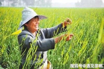 第1428页