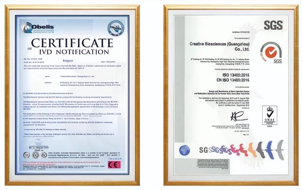 ISO13485最新版标准，引领医疗科技革新，重塑生活品质体验
