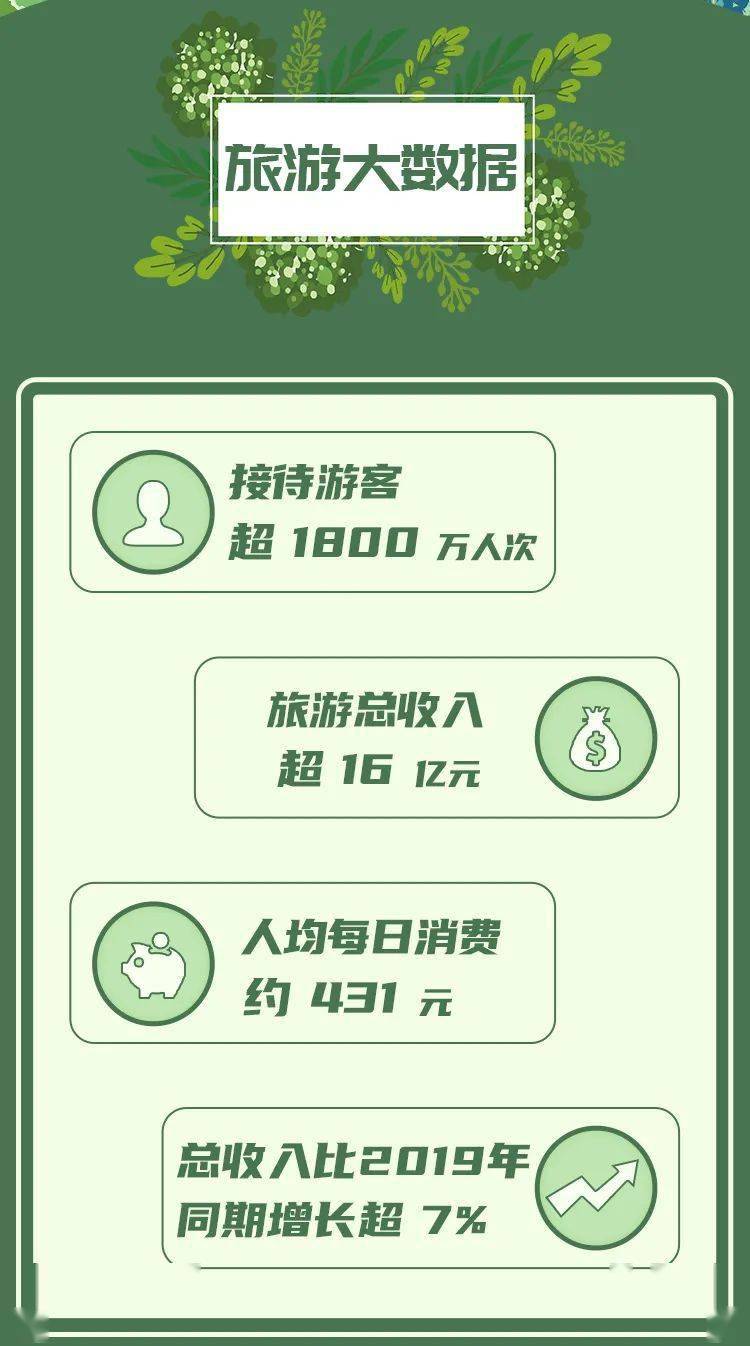 最新跑路现象深度分析与观点阐述