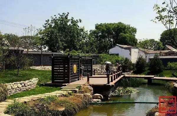 全球感染最新动态，自然探索之旅寻求内心平和与宁静