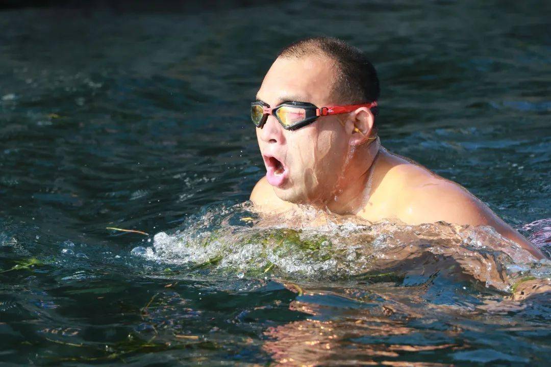 峰峰最新动态揭秘，温馨有趣的日常故事