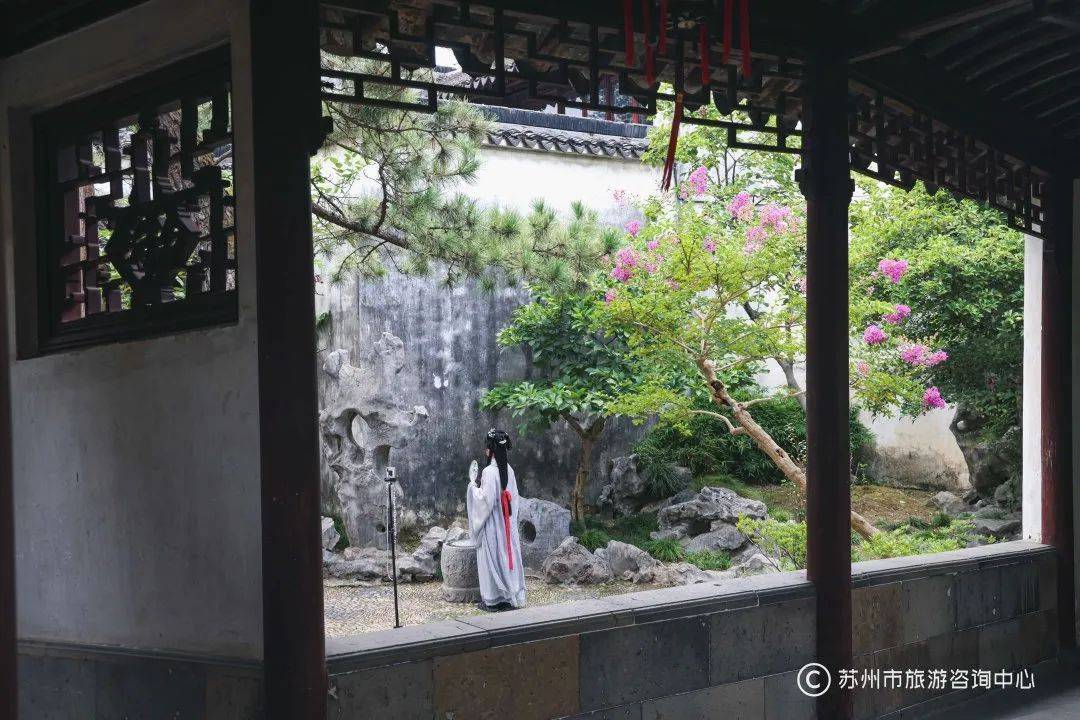苏园最新，小巷深处的独特风情