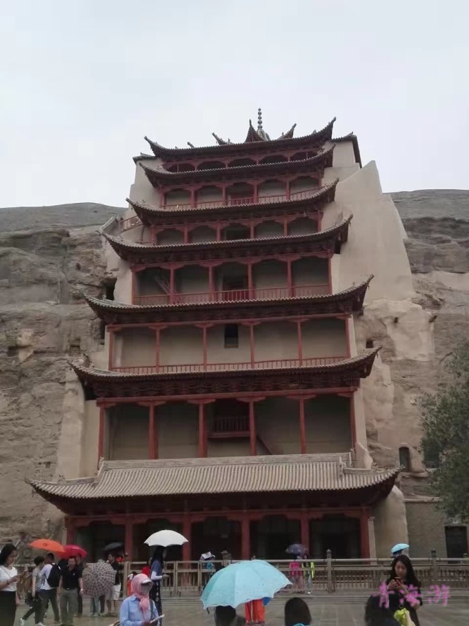 AIV最新动态，心灵与自然的奇妙之旅