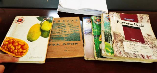 东莞胶袋厂招聘最新,东莞胶袋厂招聘最新——一场探索自然美景的旅行邀请
