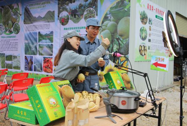 广州花都最新招聘信息，科技革新驱动未来职场新篇章