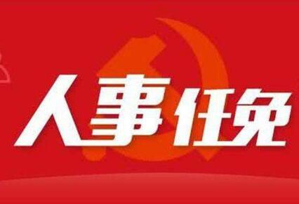 厦门最新人事任免公示，解读与观点分析