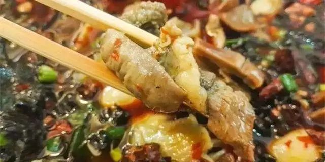 蝌蚪网最新网址,蝌蚪网最新网址，小巷深处的隐藏美食天堂