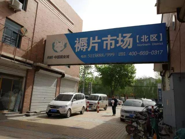河北尚村獭兔最新价格指南，如何获取并了解獭兔价格动态？