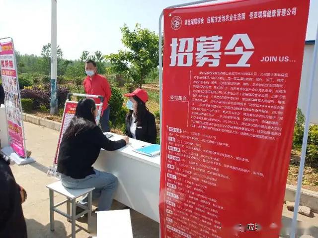 应城最新招聘多元视角深度探讨会，探寻最新职位与多元发展机遇