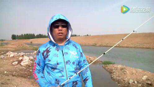 最新路亚马口视频，垂钓艺术的探索与争议之路