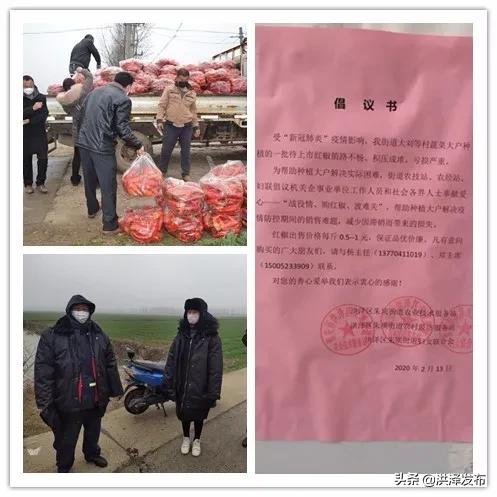 协购最新动态，详细步骤指南更新发布