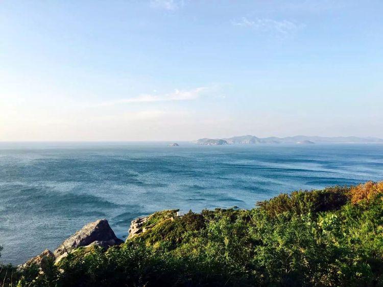 新闻 第80页