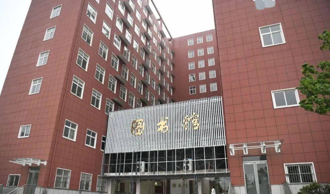 体育 第65页