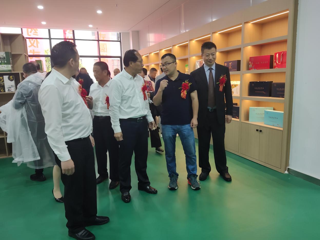 凤凰军事网最新动态揭秘，自然探索与心灵之旅的奥秘