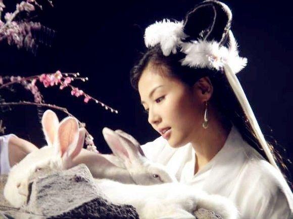 白兔湖最新动态，自然美景探索之旅，寻觅内心平和与宁静