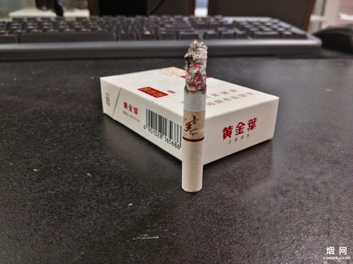 黄金叶最新2017,黄金叶最新2017，一片温馨的日常故事