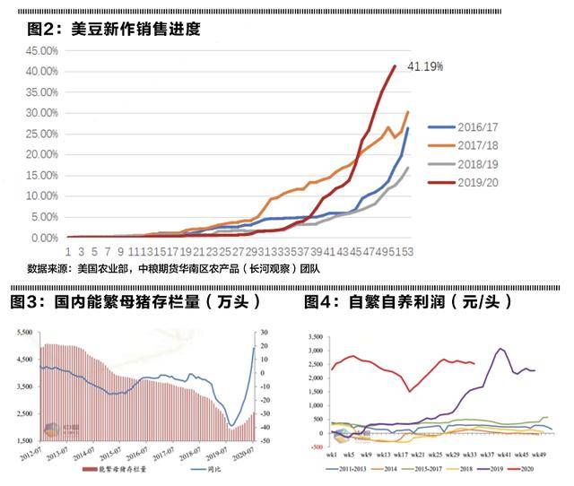 豆帕最新价格与市场走势下的多元观点探讨