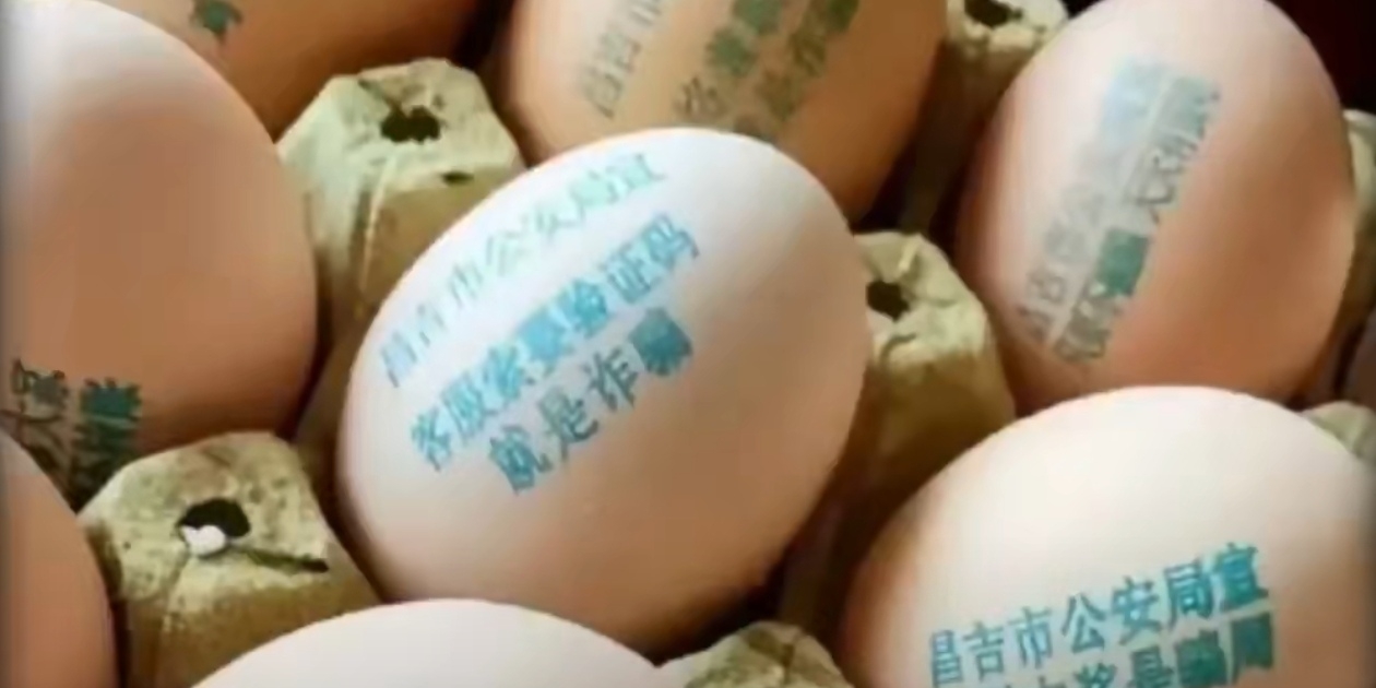 鸡蛋最新新闻,鸡蛋最新新闻，小巷深处的特色鸡蛋小店探秘