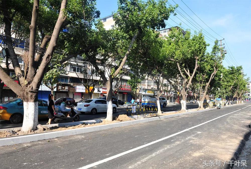 南充最新招标详解，初学者与进阶用户指南，涵盖招标全步骤