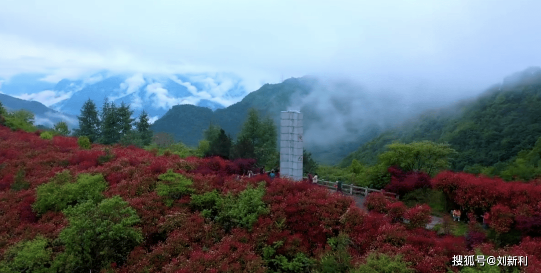 体育 第25页