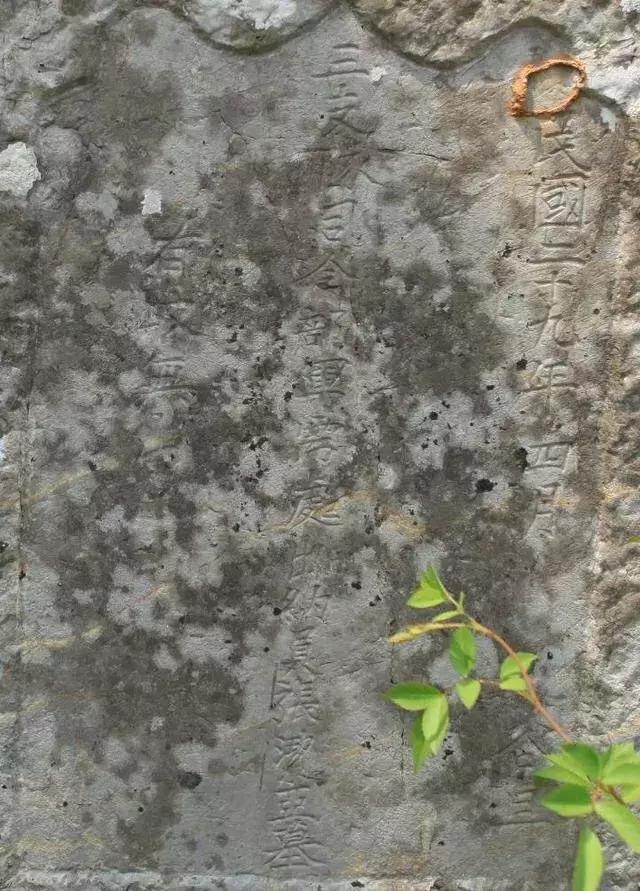 怀旧影苑最新动态，时光深处的珍藏记忆回顾 🎬🌟